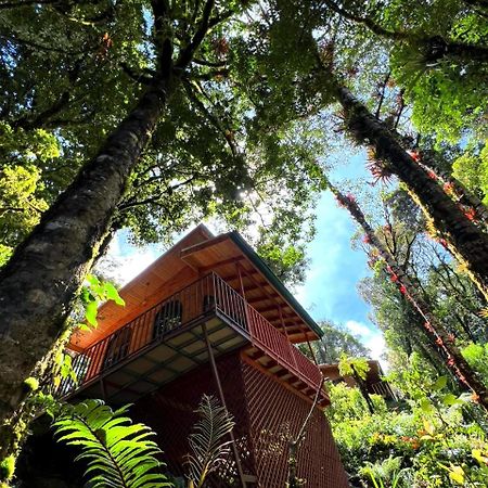 Cabana Anturios San José Exteriör bild