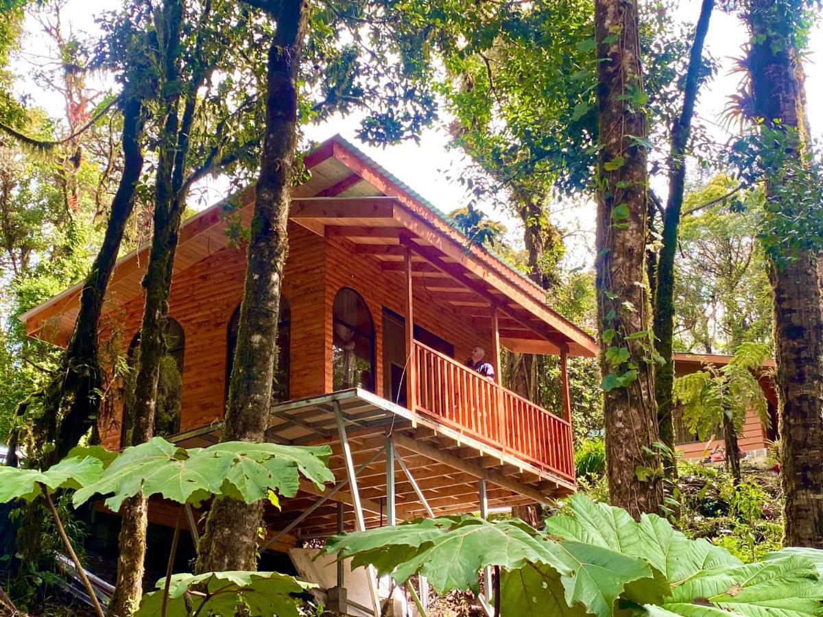 Cabana Anturios San José Exteriör bild