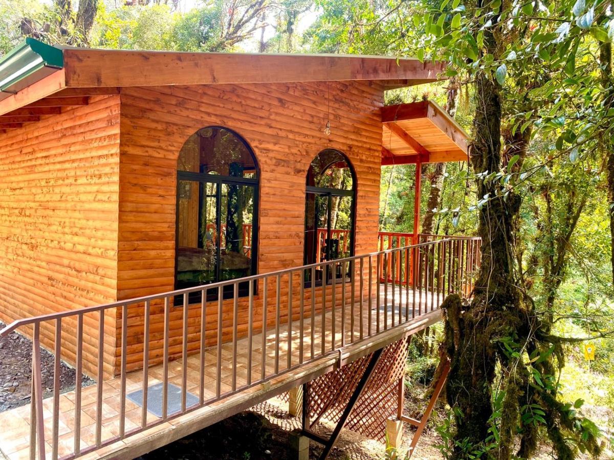 Cabana Anturios San José Exteriör bild