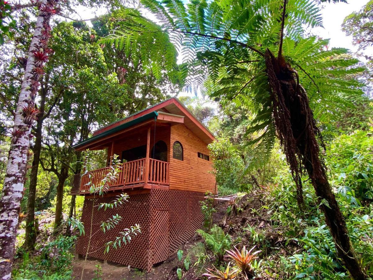Cabana Anturios San José Exteriör bild