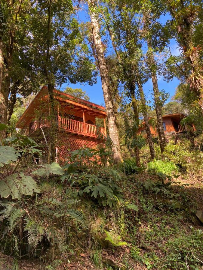 Cabana Anturios San José Exteriör bild