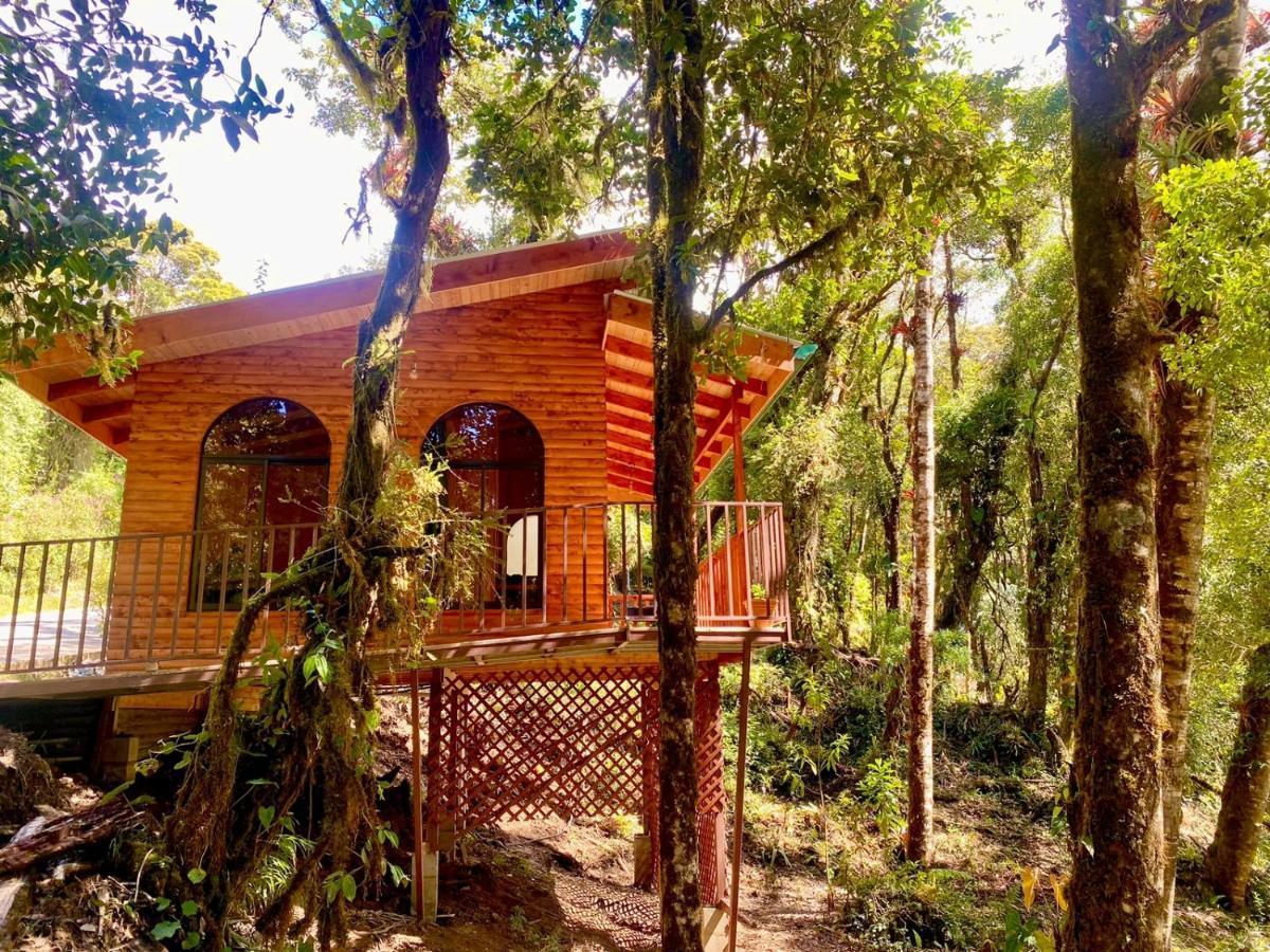Cabana Anturios San José Exteriör bild