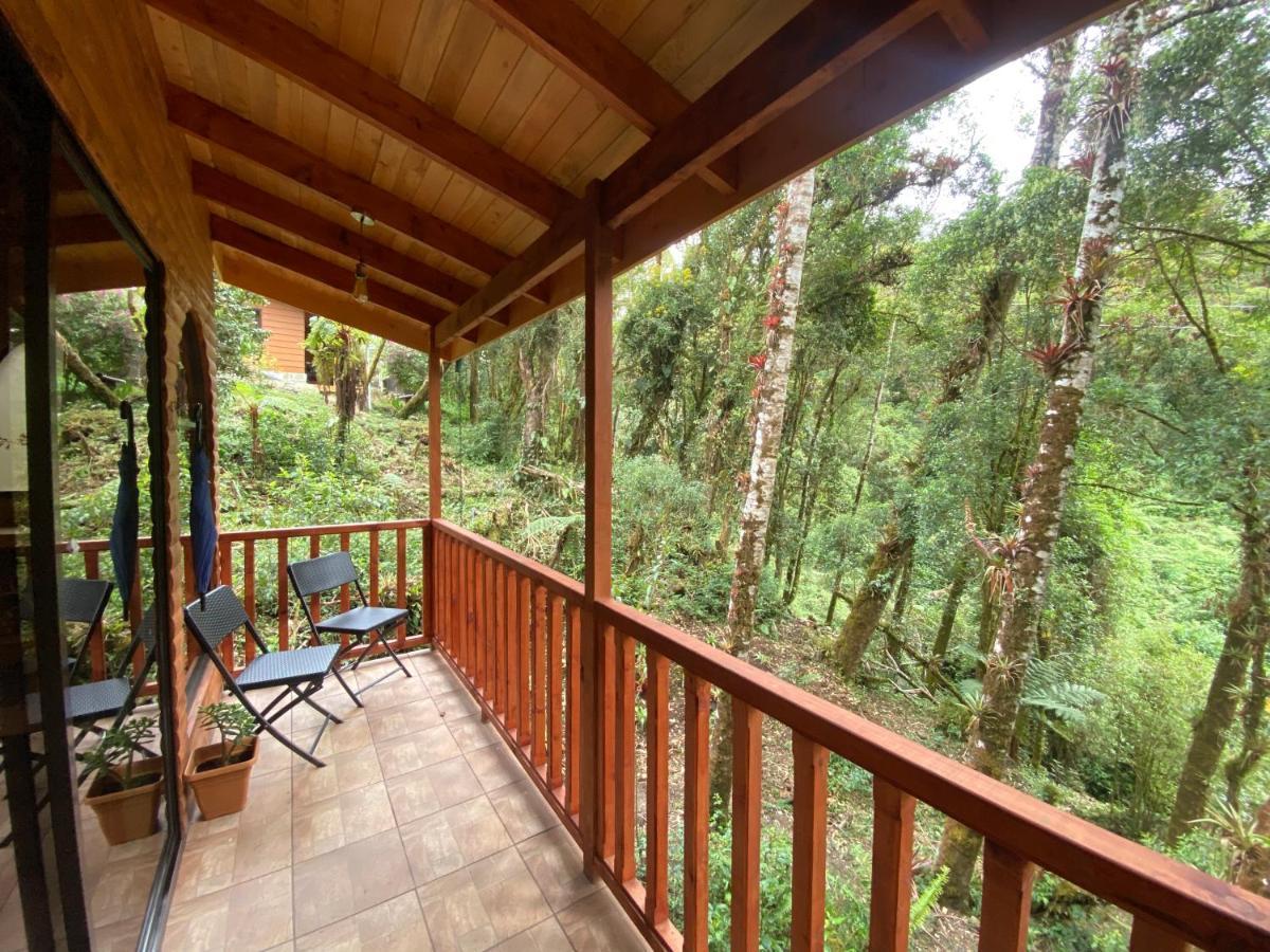 Cabana Anturios San José Exteriör bild