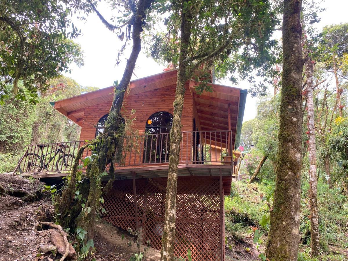 Cabana Anturios San José Exteriör bild