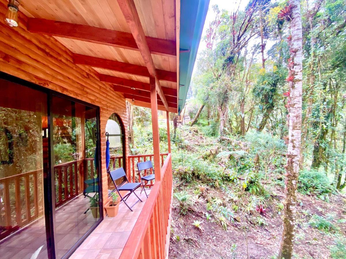 Cabana Anturios San José Exteriör bild