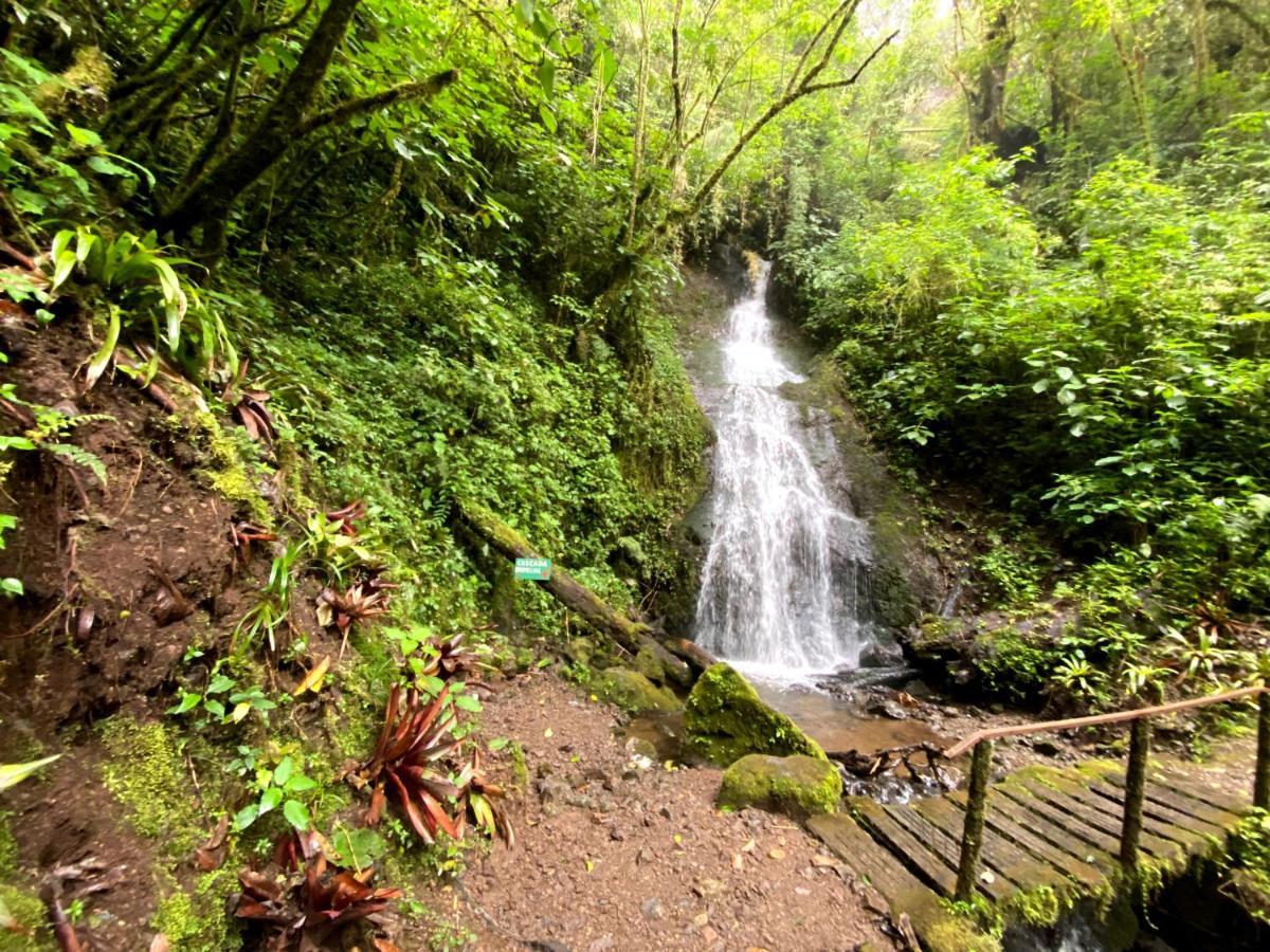 Cabana Anturios San José Exteriör bild