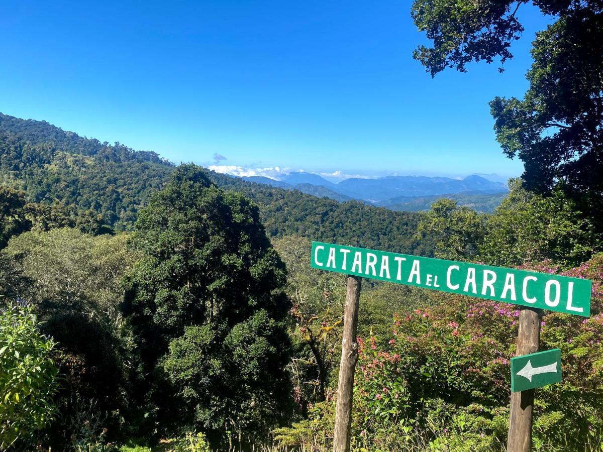 Cabana Anturios San José Exteriör bild