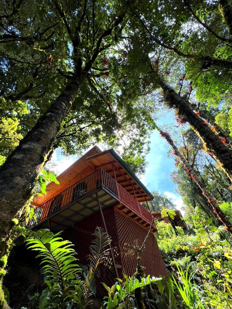 Cabana Anturios San José Exteriör bild