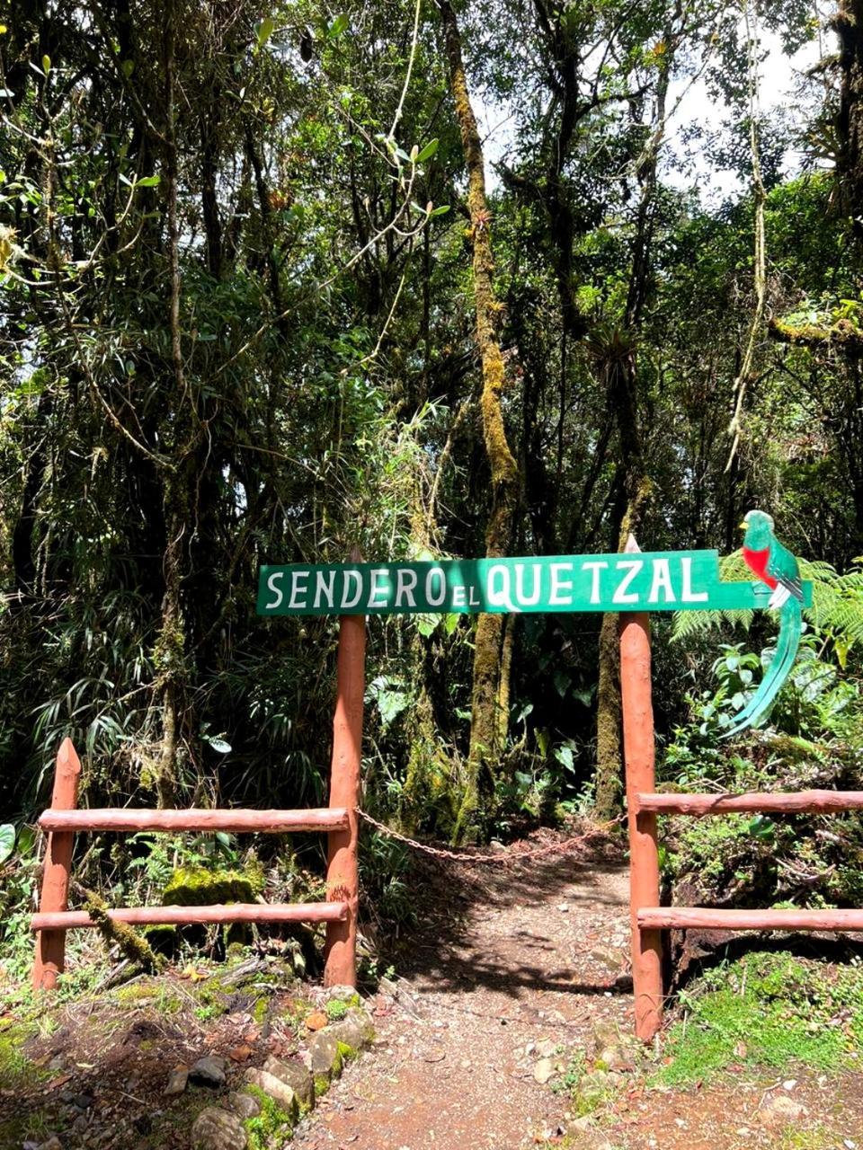 Cabana Anturios San José Exteriör bild