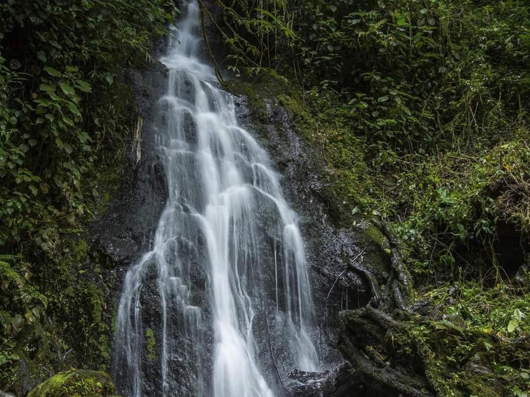 Cabana Anturios San José Exteriör bild