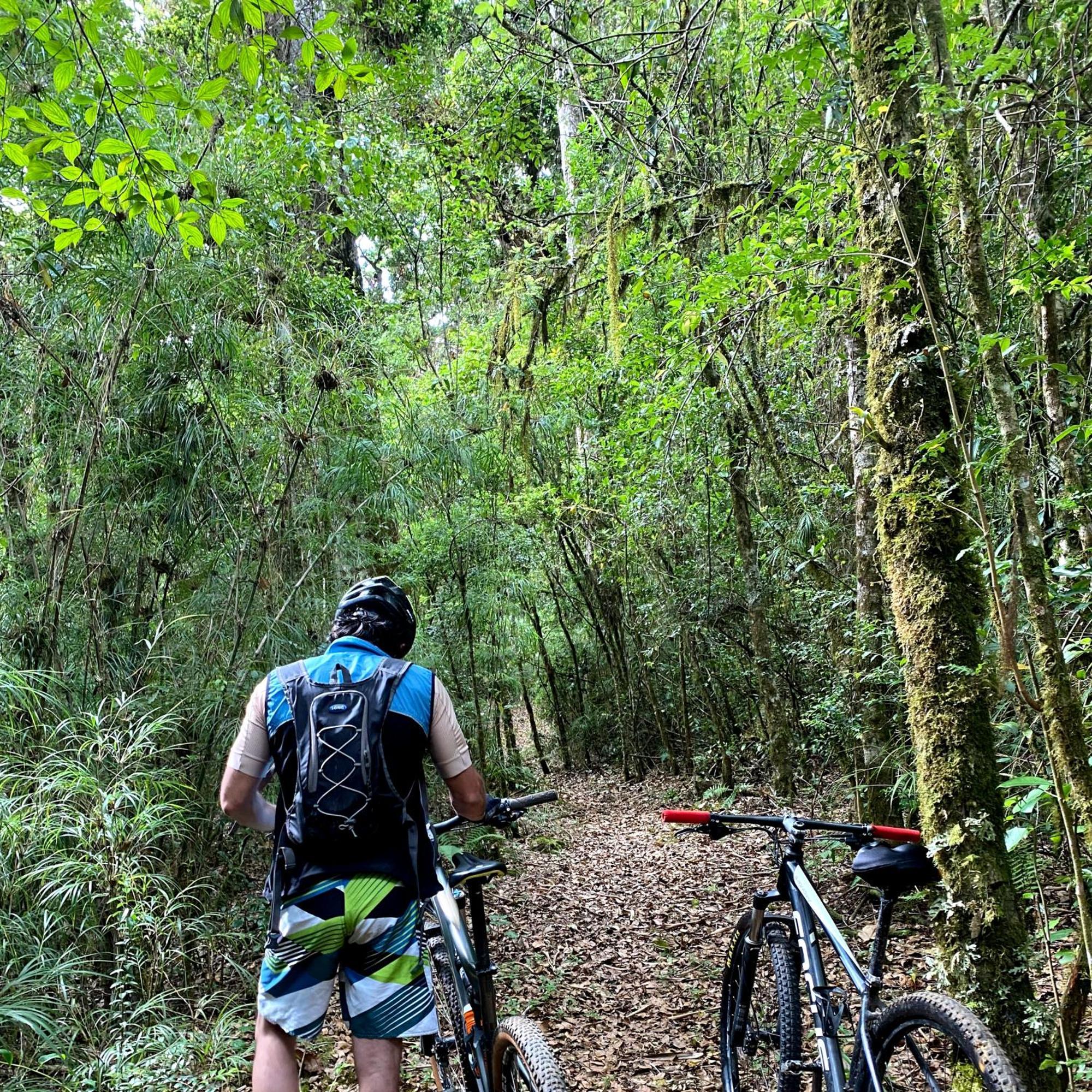 Cabana Anturios San José Exteriör bild